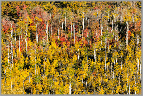 Southern Utah Fall Medley