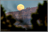 Hunter's Moon - Southern Utah