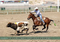 White Pine County Fair & Horse Races - 2021