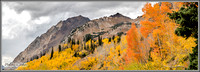 Alta & Mt. Superior Fall Colors