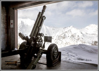 Alta Avalanche Gun