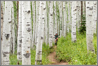 Mountain Biking Steamboat Springs Aspens