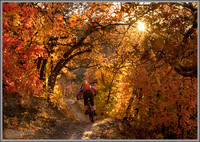 Utah Mountain Biking in the Fall