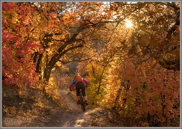 Utah Mountain Biking in the Fall