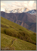 Mountain Bike Paradise - Salt Lake City, Utah